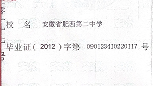 安徽省高中畢業證字號怎么填寫