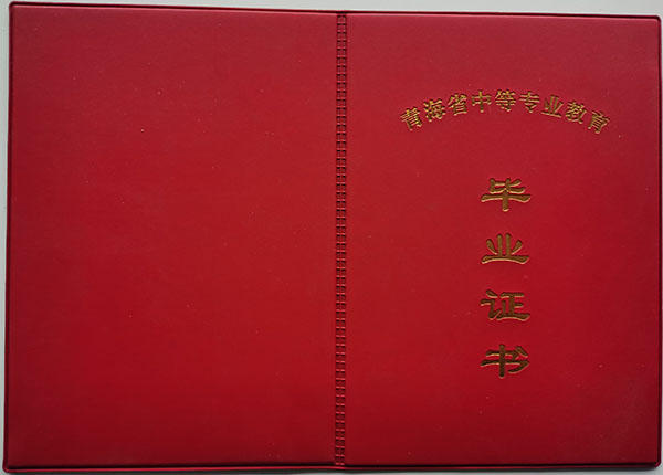 青海省2004年中專畢業(yè)證封皮