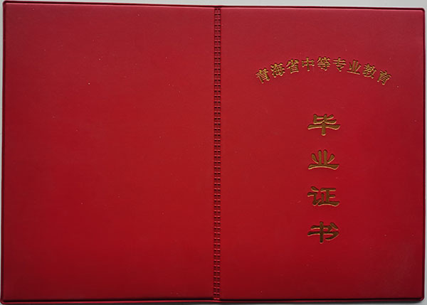 青海省2010年中專畢業證封面、