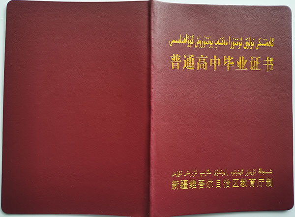 新疆2000年高中畢業(yè)證樣本_學(xué)籍編號
