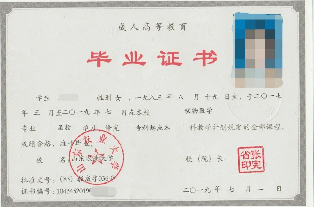 2019年山東農業大學函授本科畢業證樣本