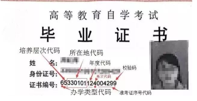 自考大專畢業證編號規則