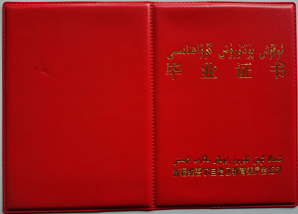 新疆1998年高中畢業(yè)證：樣式、學(xué)籍號填寫與補(bǔ)辦