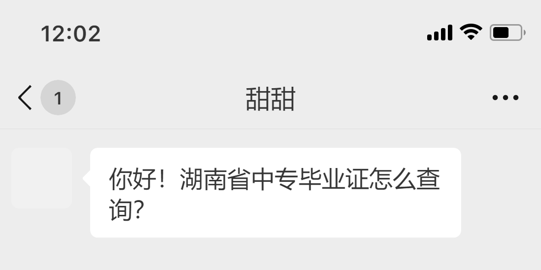湖南省中專(zhuān)畢業(yè)證怎么查詢(xún)